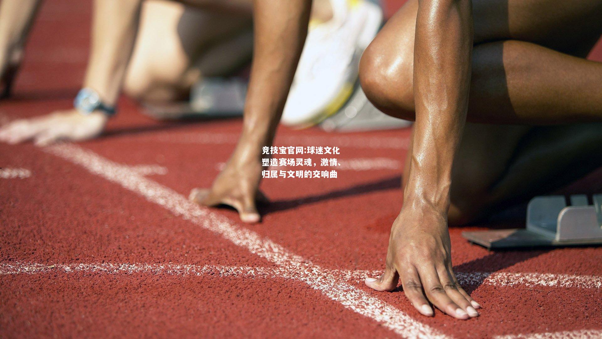 球迷文化塑造赛场灵魂，激情、归属与文明的交响曲